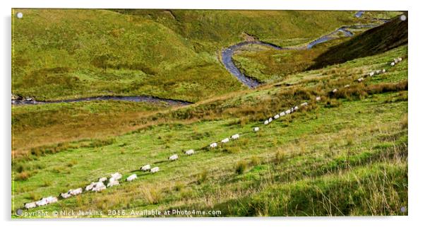 A straight line of Sheep and the River below Wales Acrylic by Nick Jenkins