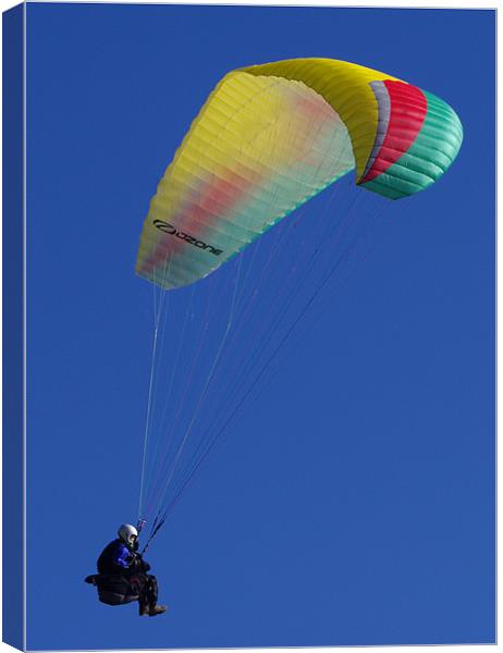 Hang Glider Canvas Print by Jacqi Elmslie