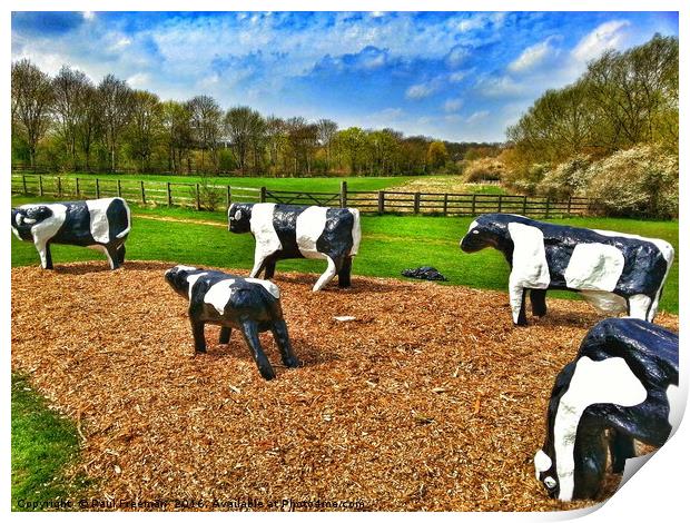 Concrete Cows in Summer Print by Paul Freeman