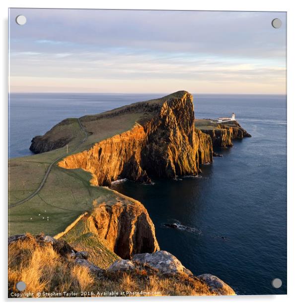 Neist Point Acrylic by Stephen Taylor