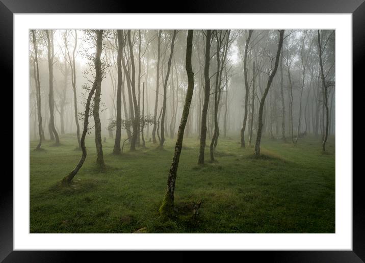 Bolehill Woods in the Fog  Framed Mounted Print by James Grant