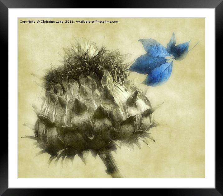 A Blue Melody Framed Mounted Print by Christine Lake
