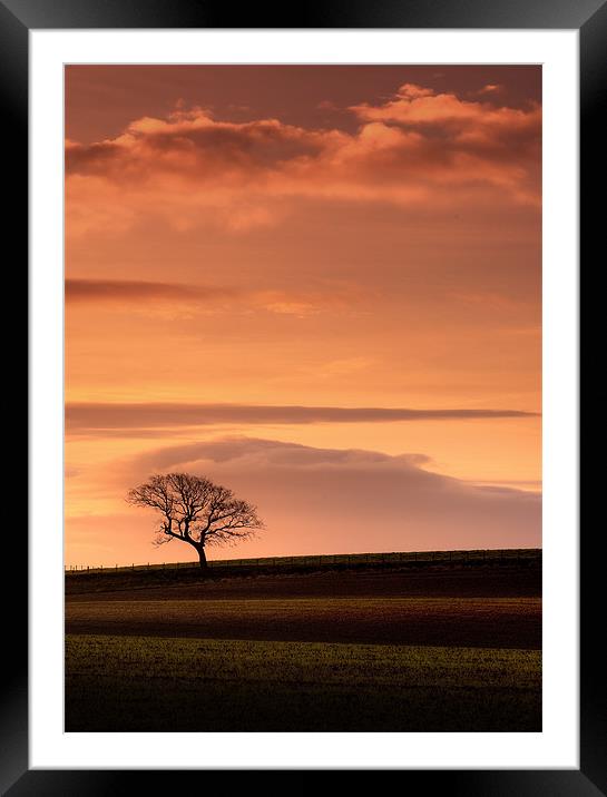 Pastoral layers Framed Mounted Print by David Mould