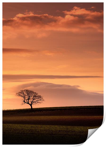 Pastoral layers Print by David Mould