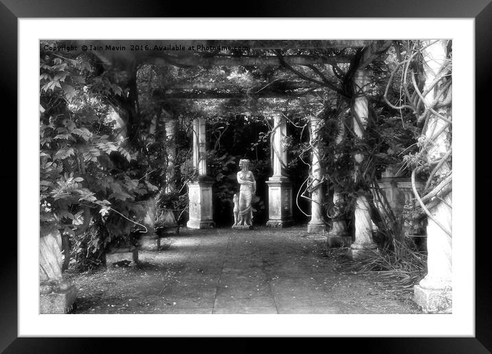 In the Avenue of Columns Framed Mounted Print by Iain Mavin