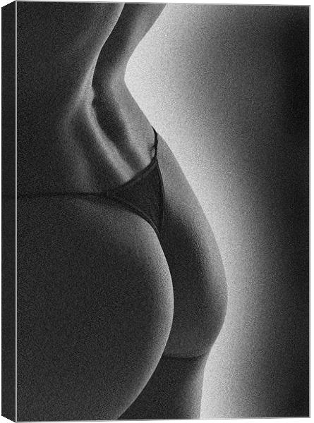 Curves on curves Canvas Print by David Hare