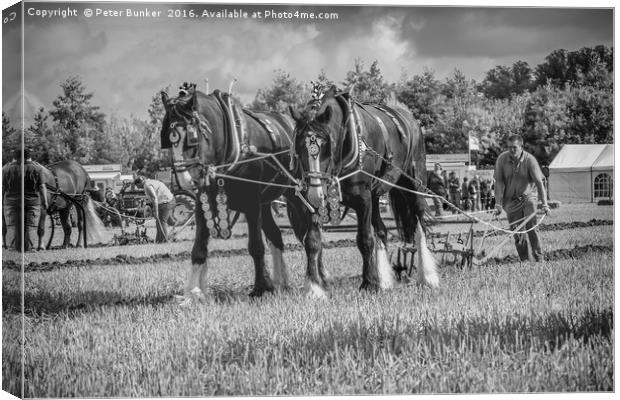 Ploughing 2.  Canvas Print by Peter Bunker