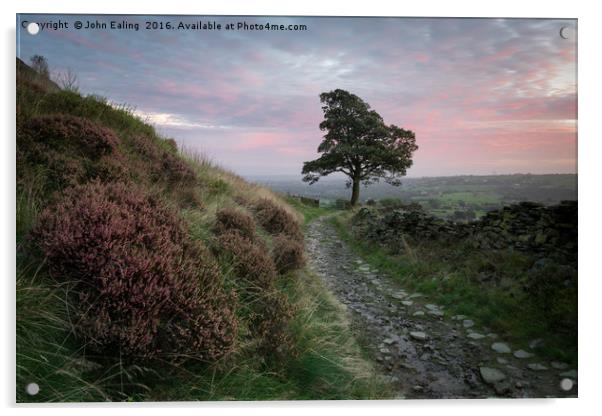 One tree hill Acrylic by John Ealing
