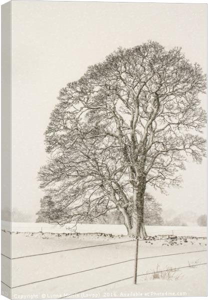A Lone Tree In Winter Canvas Print by Lynne Morris (Lswpp)