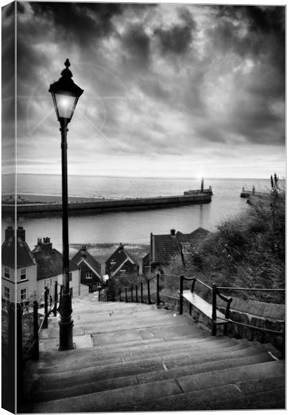 Whitby steps Canvas Print by sean clifford