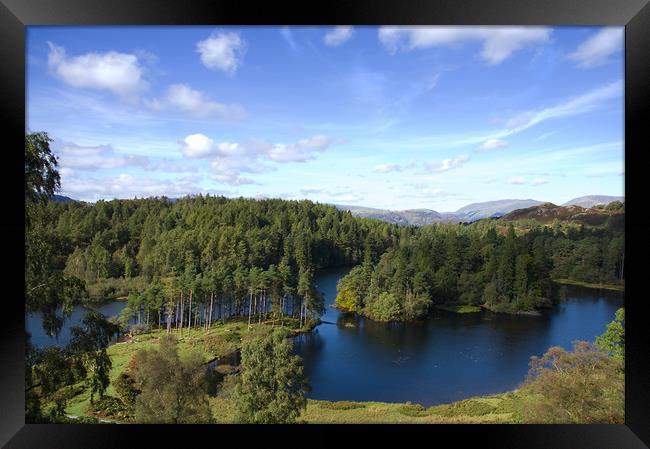 Tarn Hows, the Lake District Framed Print by Jacqi Elmslie