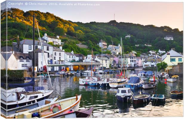 Polperro afterglow Canvas Print by Chris Harris