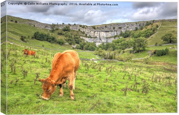 The Cliffs Of Malham Cove 1 Canvas Print by Colin Williams Photography