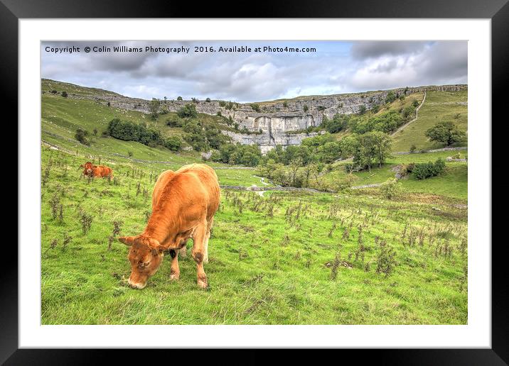 The Cliffs Of Malham Cove 1 Framed Mounted Print by Colin Williams Photography