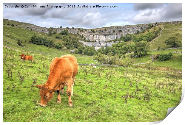 The Cliffs Of Malham Cove 1 Print by Colin Williams Photography