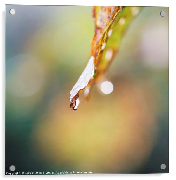 Rain Drop Acrylic by Jackie Davies