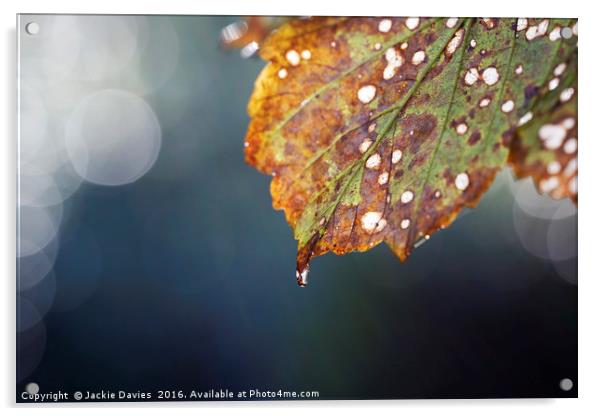 Autumn Leaf Acrylic by Jackie Davies