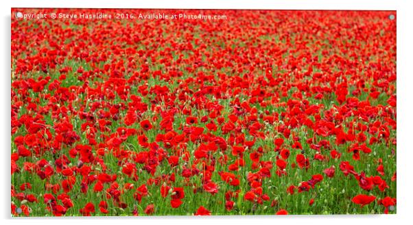 Sea of Poppies  Acrylic by Steve Haseldine