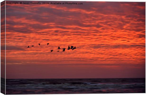 Birds At Sunset Canvas Print by Jason Connolly