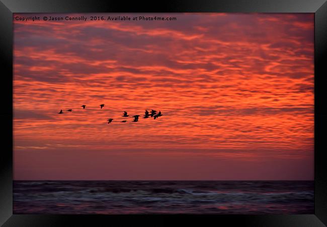Birds At Sunset Framed Print by Jason Connolly