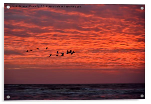 Birds At Sunset Acrylic by Jason Connolly