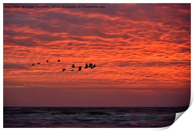 Birds At Sunset Print by Jason Connolly