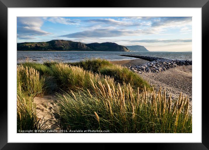 Deganwy Dunes Framed Mounted Print by Peter Zabulis