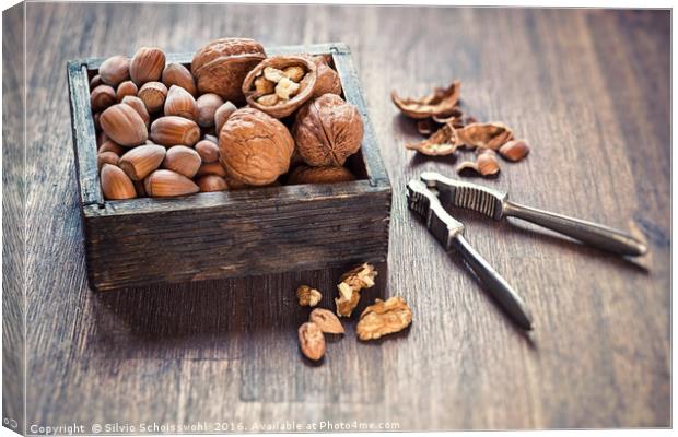 Nuts Canvas Print by Silvio Schoisswohl