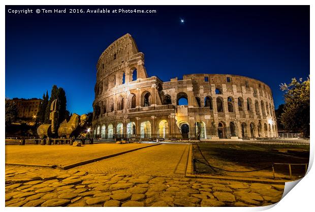 The Collosseum Print by Tom Hard