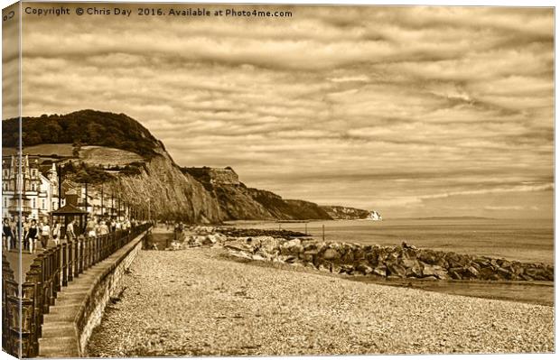 Sidmouth Beach  Canvas Print by Chris Day