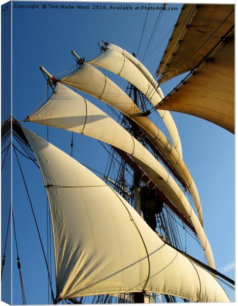 Stack of Sails Canvas Print by Tom Wade-West
