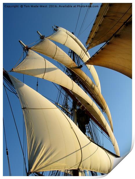 Stack of Sails Print by Tom Wade-West
