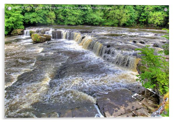 Upper Falls Aysgarth 3 - Yorkshire Dales Acrylic by Colin Williams Photography