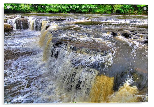 Upper Falls Aysgarth 4 - Yorkshire Dales Acrylic by Colin Williams Photography