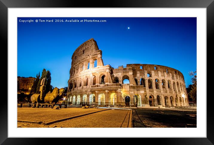 Collosseum at dawn Framed Mounted Print by Tom Hard