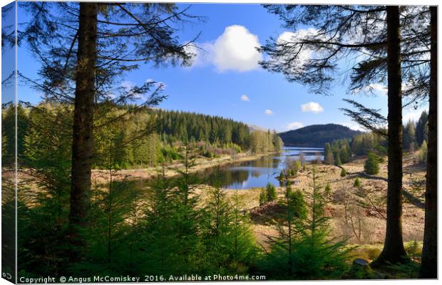 Achray Forest Drive Trossachs Canvas Print by Angus McComiskey