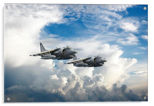 Harriers Acrylic by J Biggadike