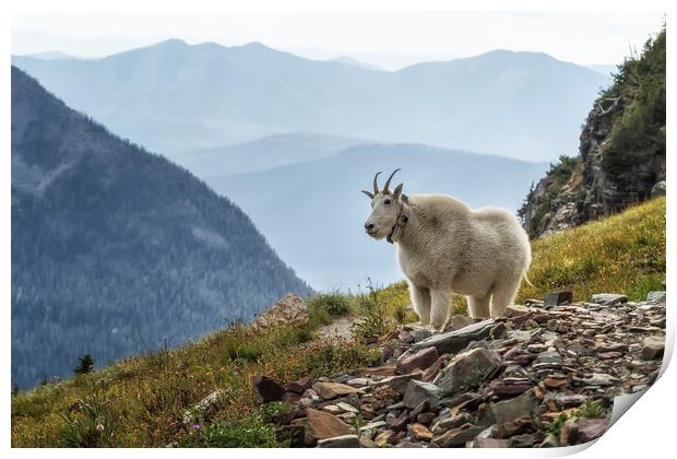 The Ups and Downs of Being a Mountain Goat, No. 2A Print by Belinda Greb