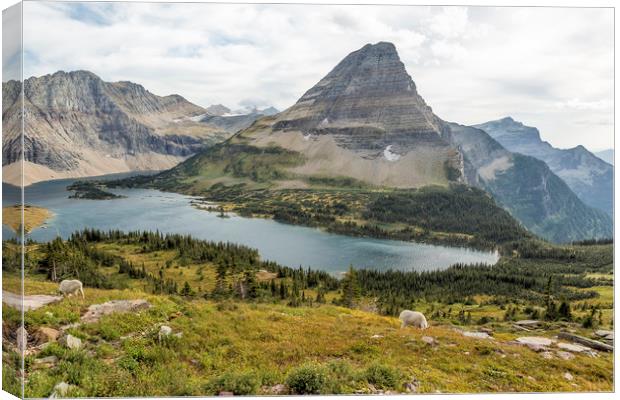 Overlooking Hidden Lake and BearHat Mountain Canvas Print by Belinda Greb