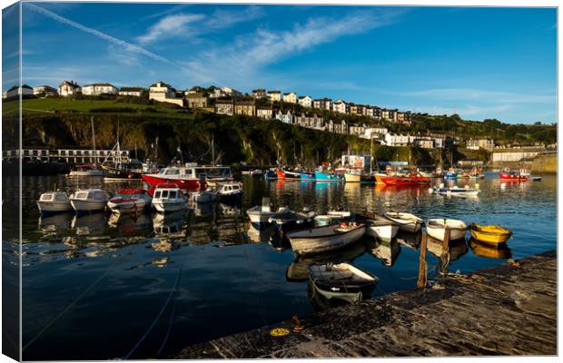 Mevagissey harbour view Canvas Print by Michael Brookes