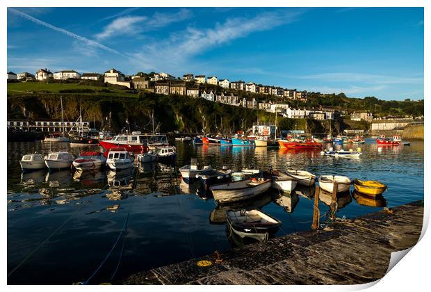 Mevagissey harbour view Print by Michael Brookes