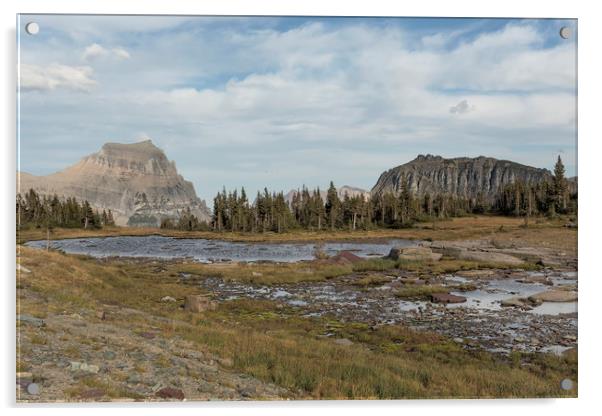 Mt Reynolds and Heavy Runner from Logan Pass Acrylic by Belinda Greb