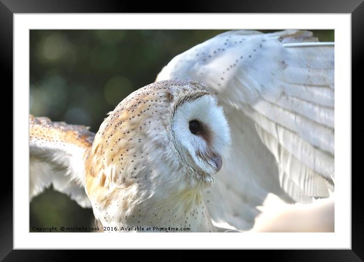 Barn Owl  Flap Framed Mounted Print by michelle rook
