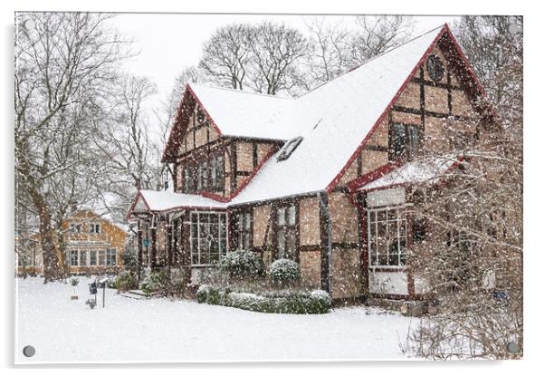 ramlosa brunnspark house in winter Acrylic by Antony McAulay