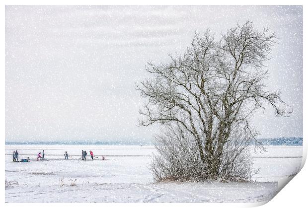 Winter Wonderland Frozen Lake Print by Antony McAulay