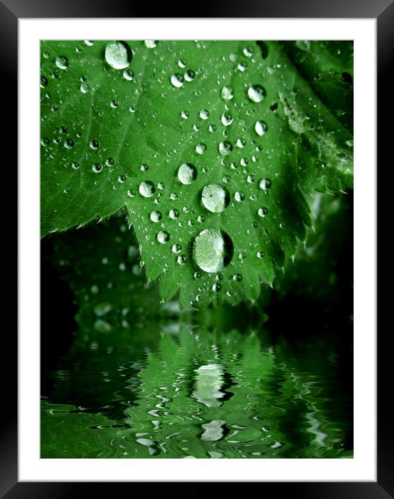 water's edge in green Framed Mounted Print by Heather Newton