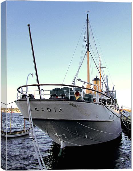 CSS Acadia Canvas Print by Mark Sellers