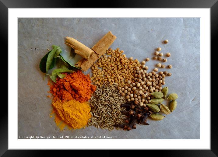 Spiced Curry. Framed Mounted Print by George Haddad