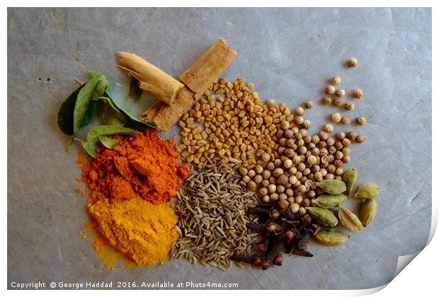 Spiced Curry. Print by George Haddad