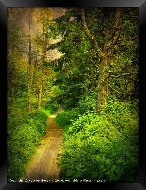 Woodland Walk. Framed Print by Heather Goodwin
